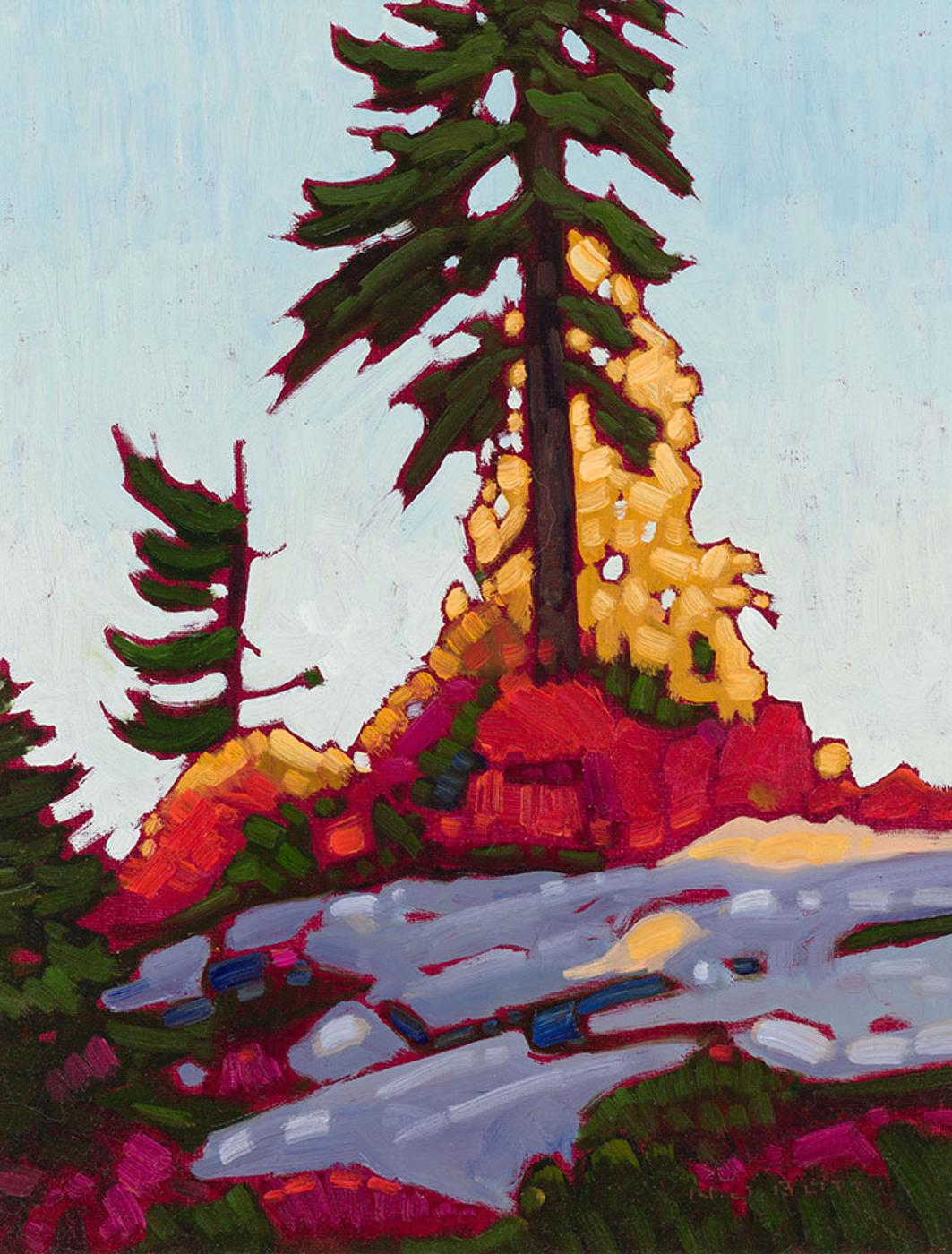 Nicholas Johannes Bott (1941-2021) - Seymour Mountain Pines