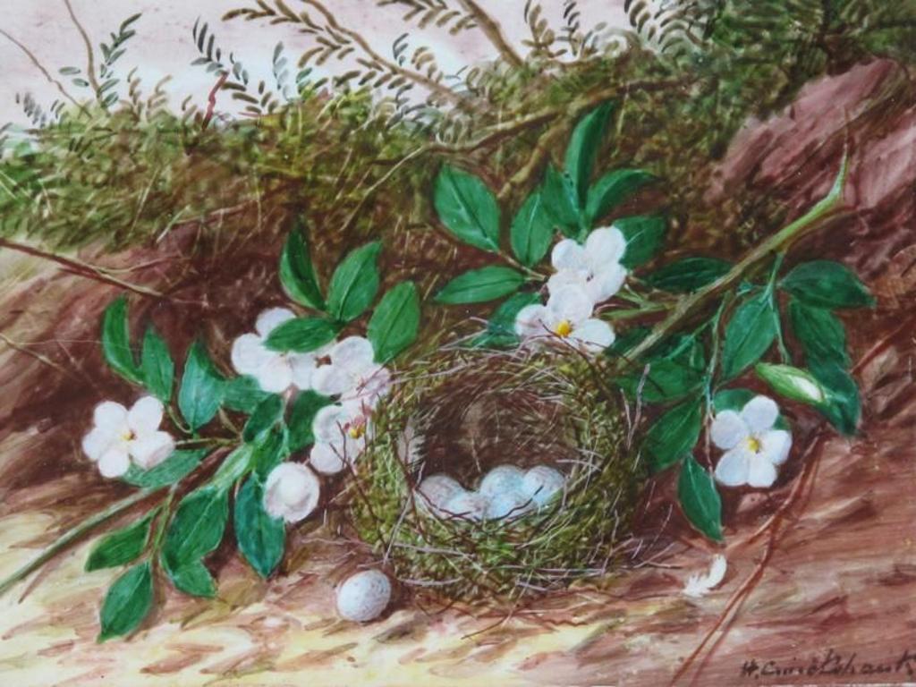 William Cruickshank (1848-1922) - Birds Nest With Flowers