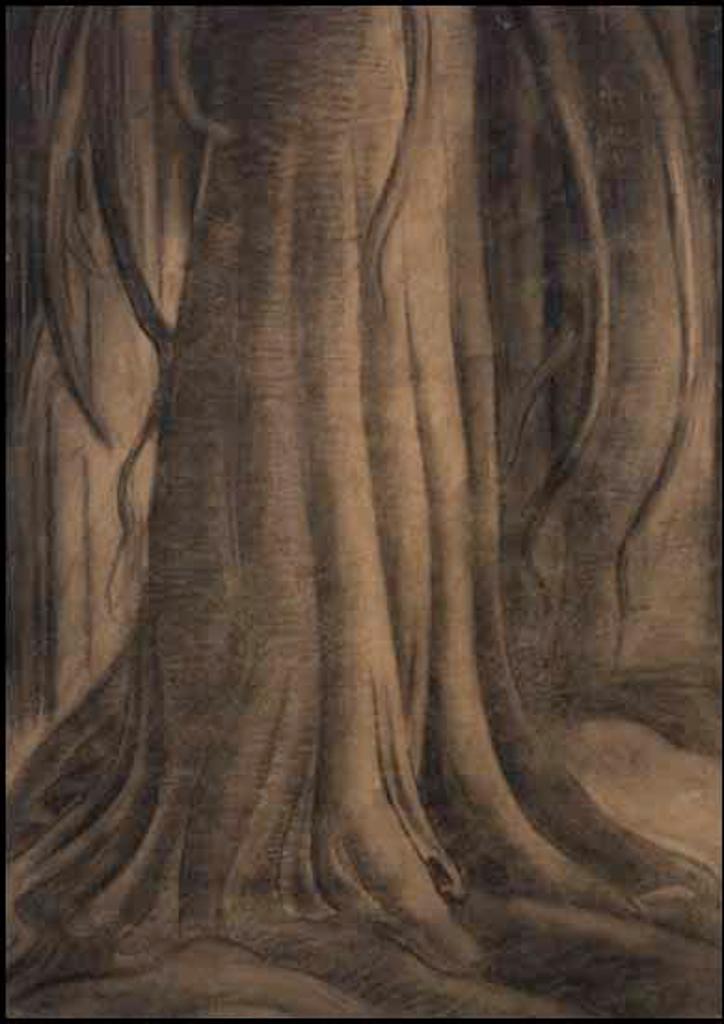 Emily Carr (1871-1945) - Old Growth Cedar