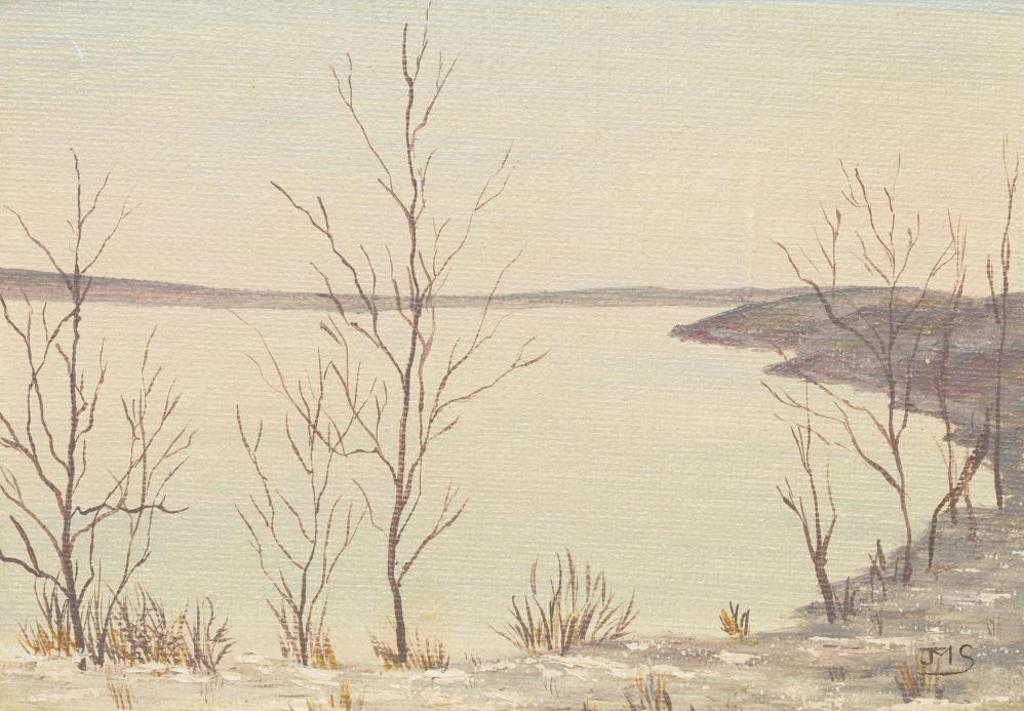Joyce Sotski - Winter Colours on Pasqua Lake