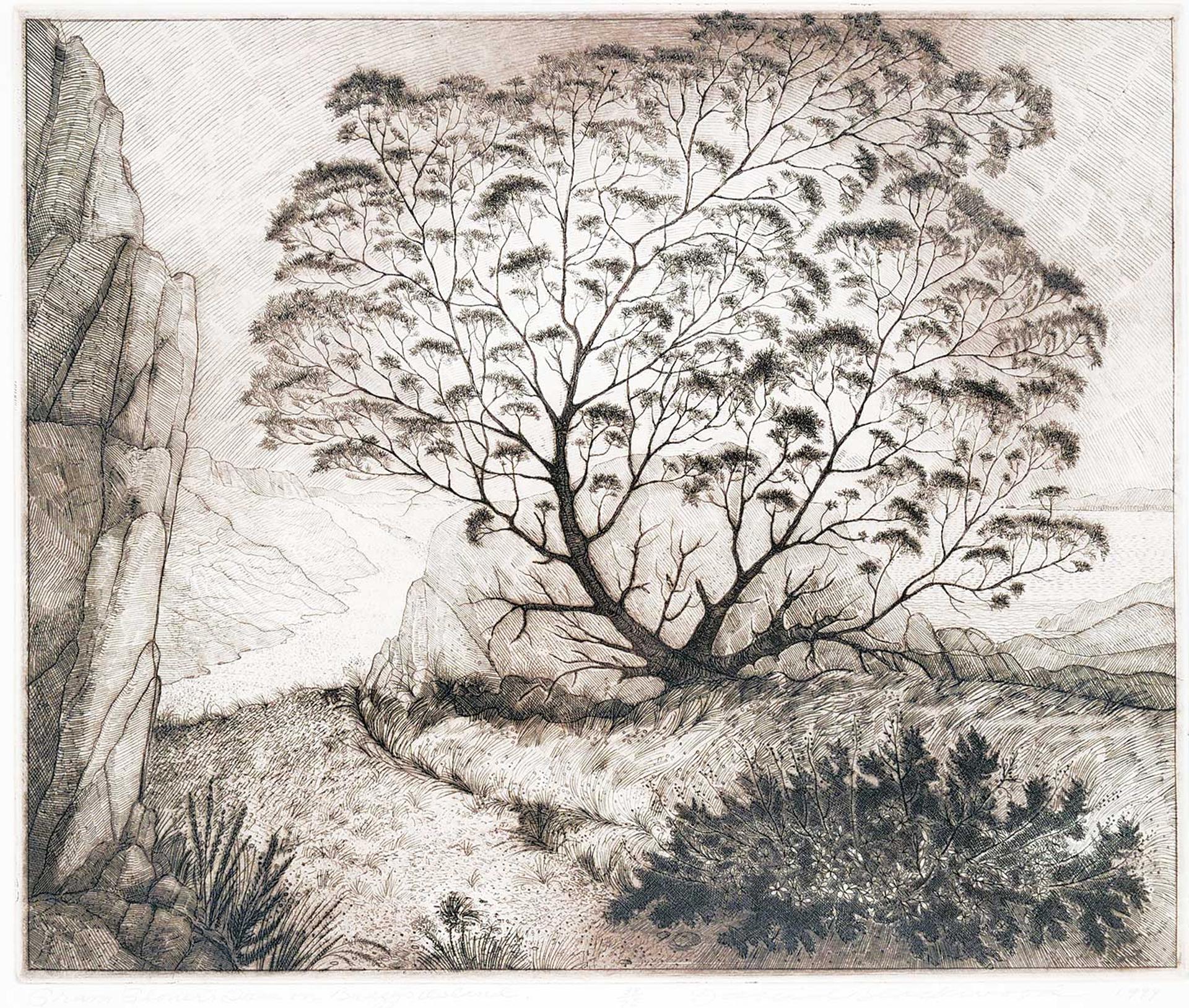 David Lloyd Blackwood (1941-2022) - Gram Glover's Tree on Bragg's Island  #38/75