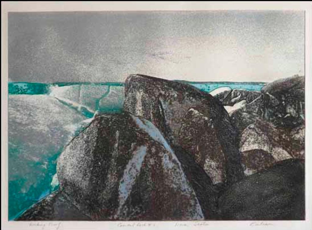 Edward John (Ted) Bartram (1938-2019) - Coastal Rock #2, Nova Scotia (02569/2013-882)