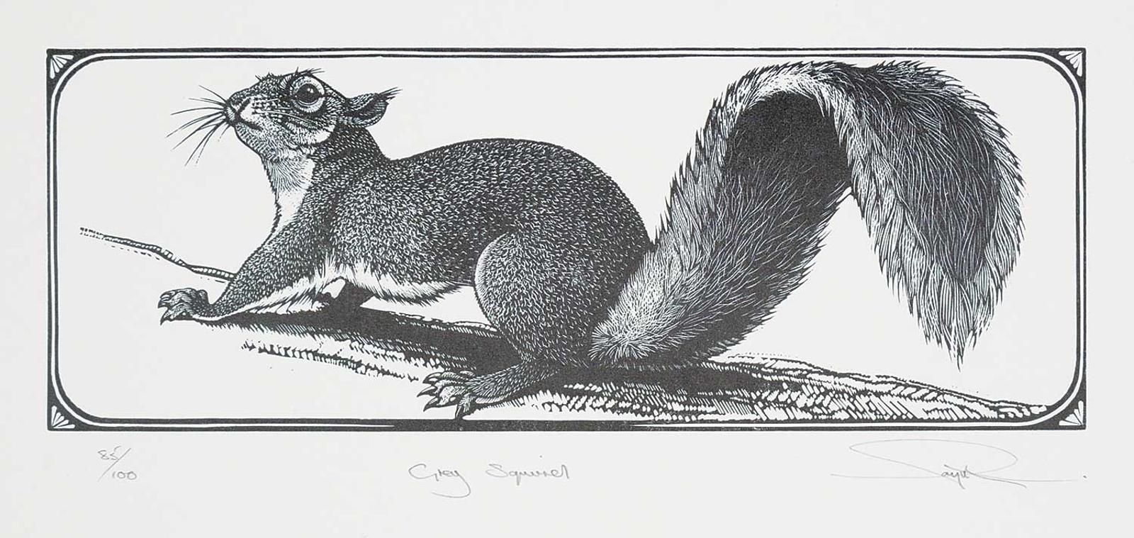 Colin See-Paynton - Grey Squirrel  #85/100