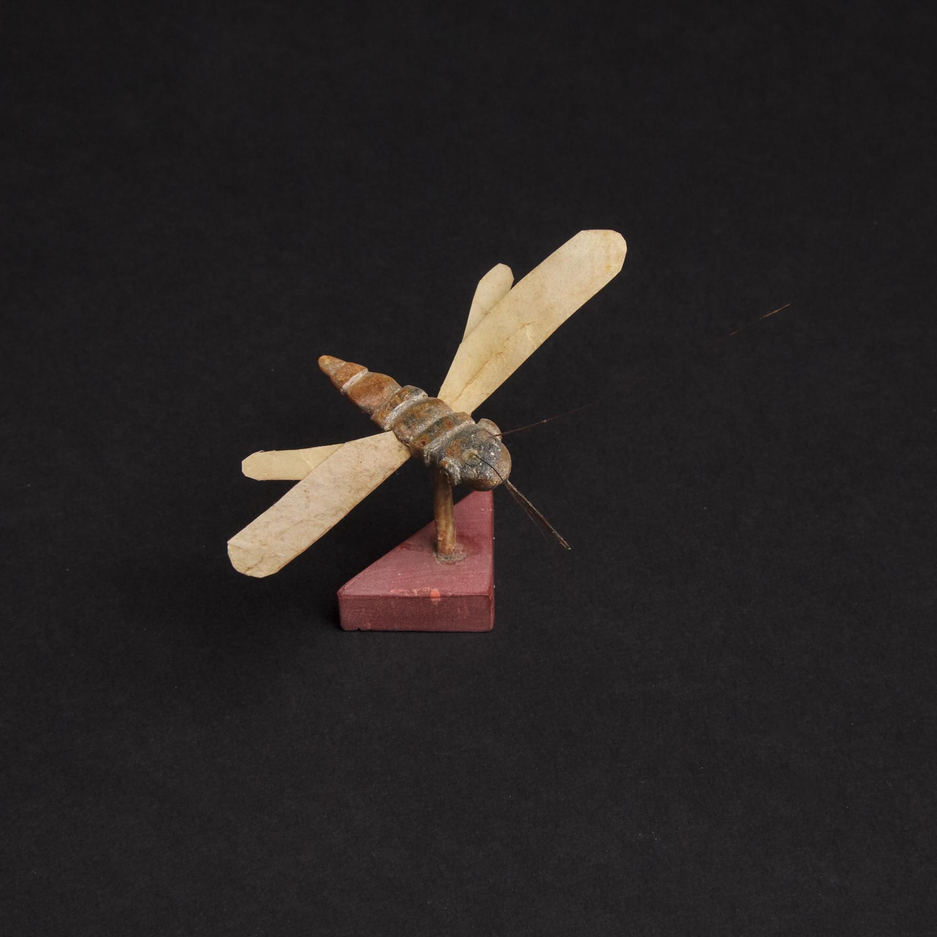 Robert Kuptana (1962) - Insect