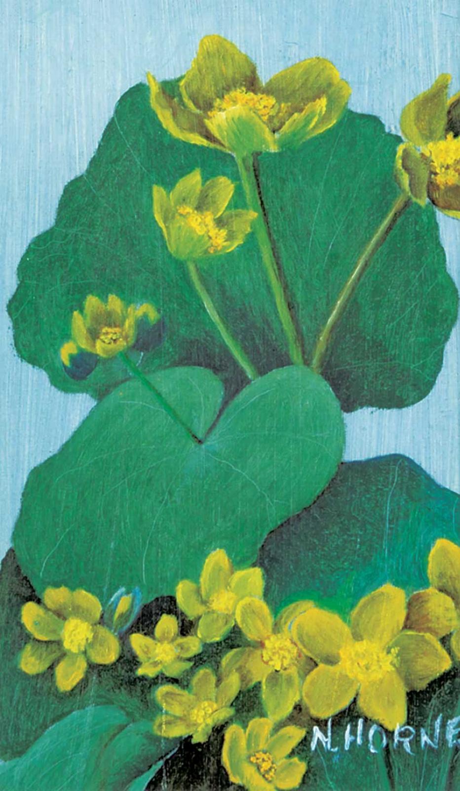 N. Horne - Marsh Marigold