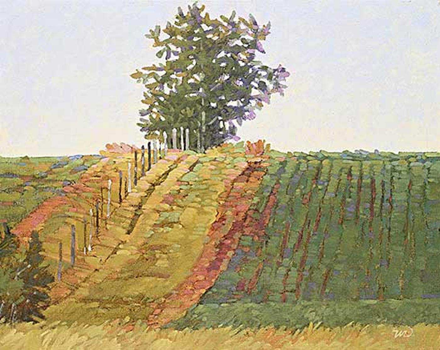 Walter (Drahanchuk) Drohan (1932-2007) - West Fence