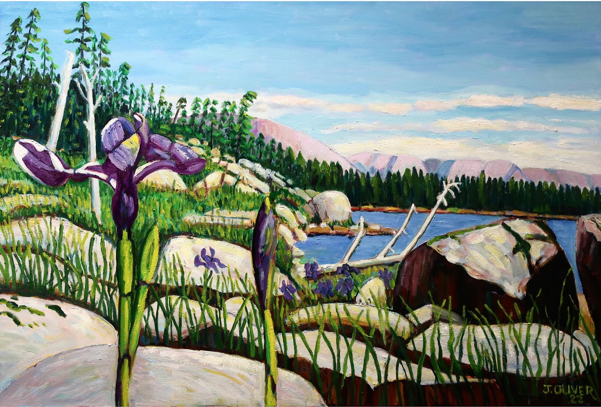 John Oliver (1939) - Berry Hill Pond, Gros Morne National Park, Nfld