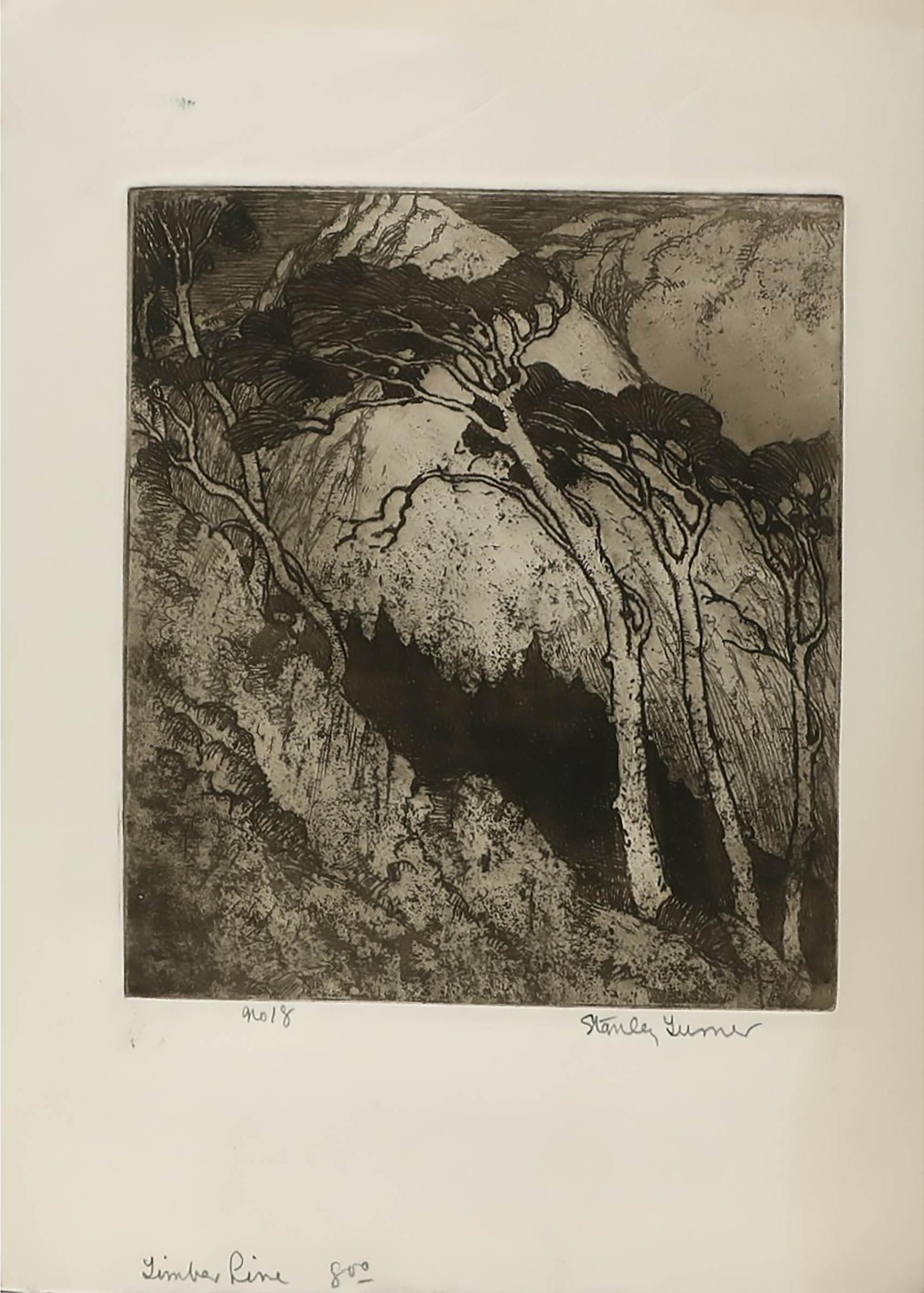 Stanley Francis Turner (1883-1953) - Timber Line