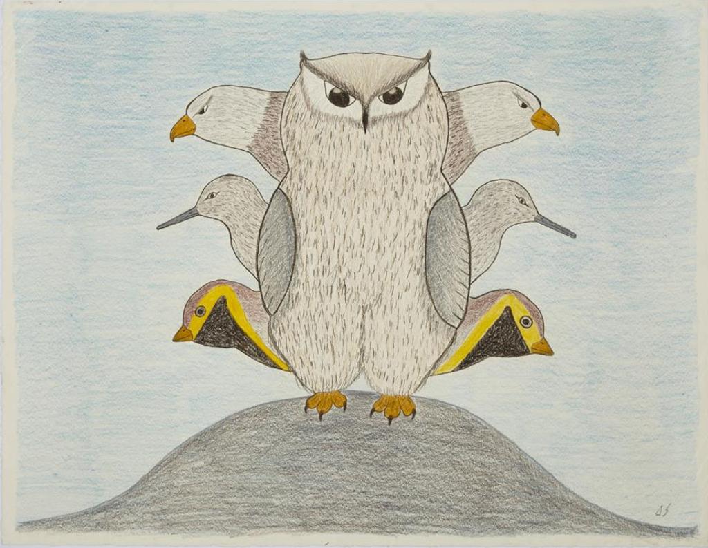 Marjorie Esa (1934) - Owl, Falcon, Gull And Auk