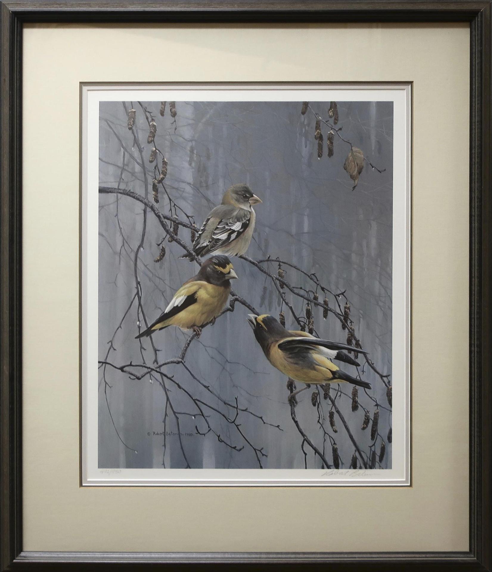 Robert Mclellan Bateman (1930-1922) - Evening Grosbeak