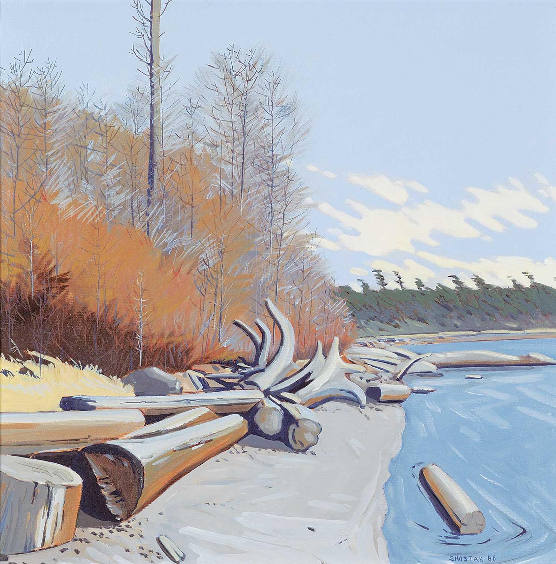 Peter Shostak (1943) - Untitled - Driftwood Banks