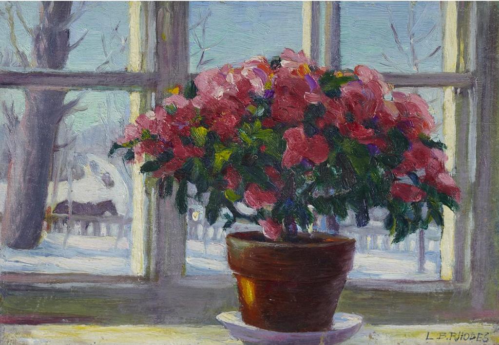Lily Bell Rhodes - Potted Flowers In Window