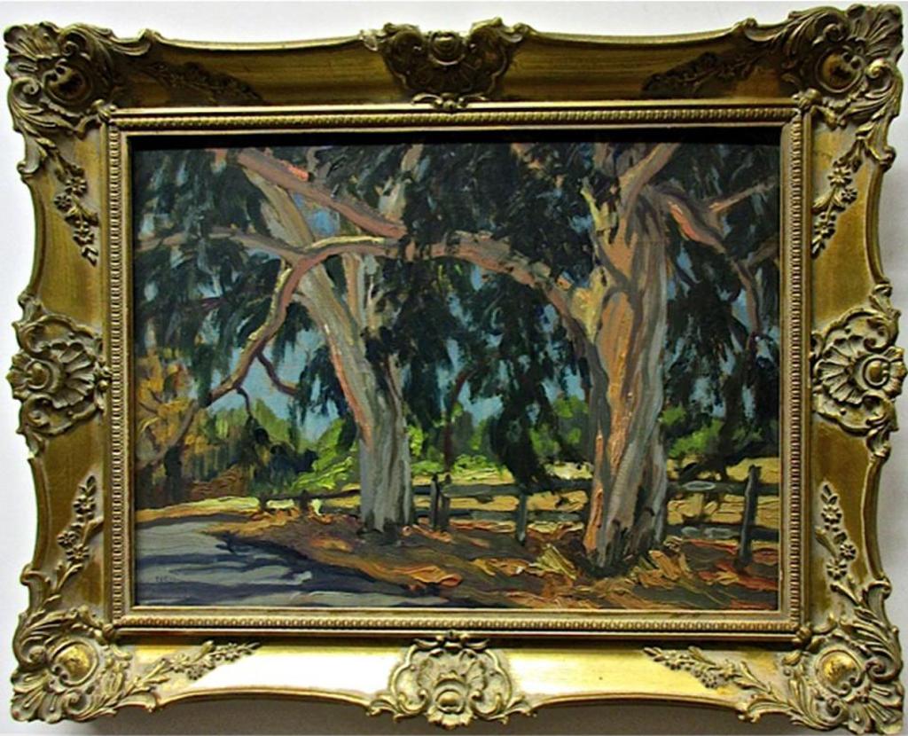 Frances Neil - Eucalyptus Trees, Stanford Cal 1947