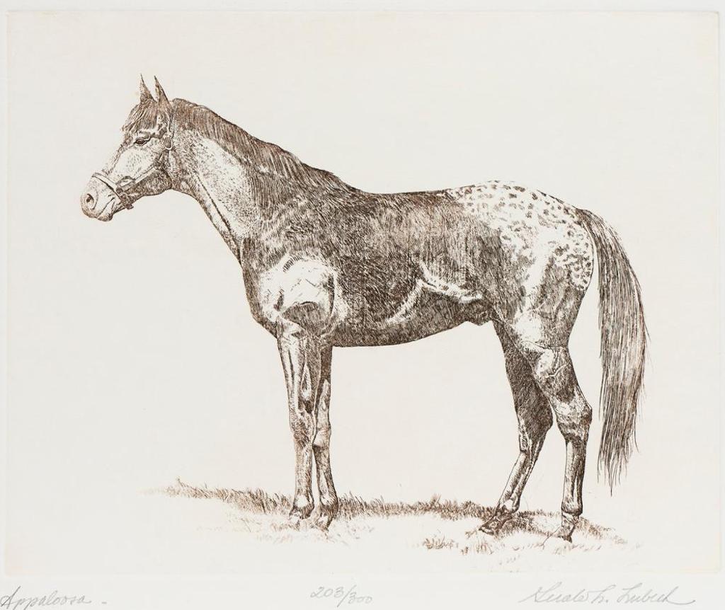 Gerald Lubeck (1942-2019) - Appaloosa