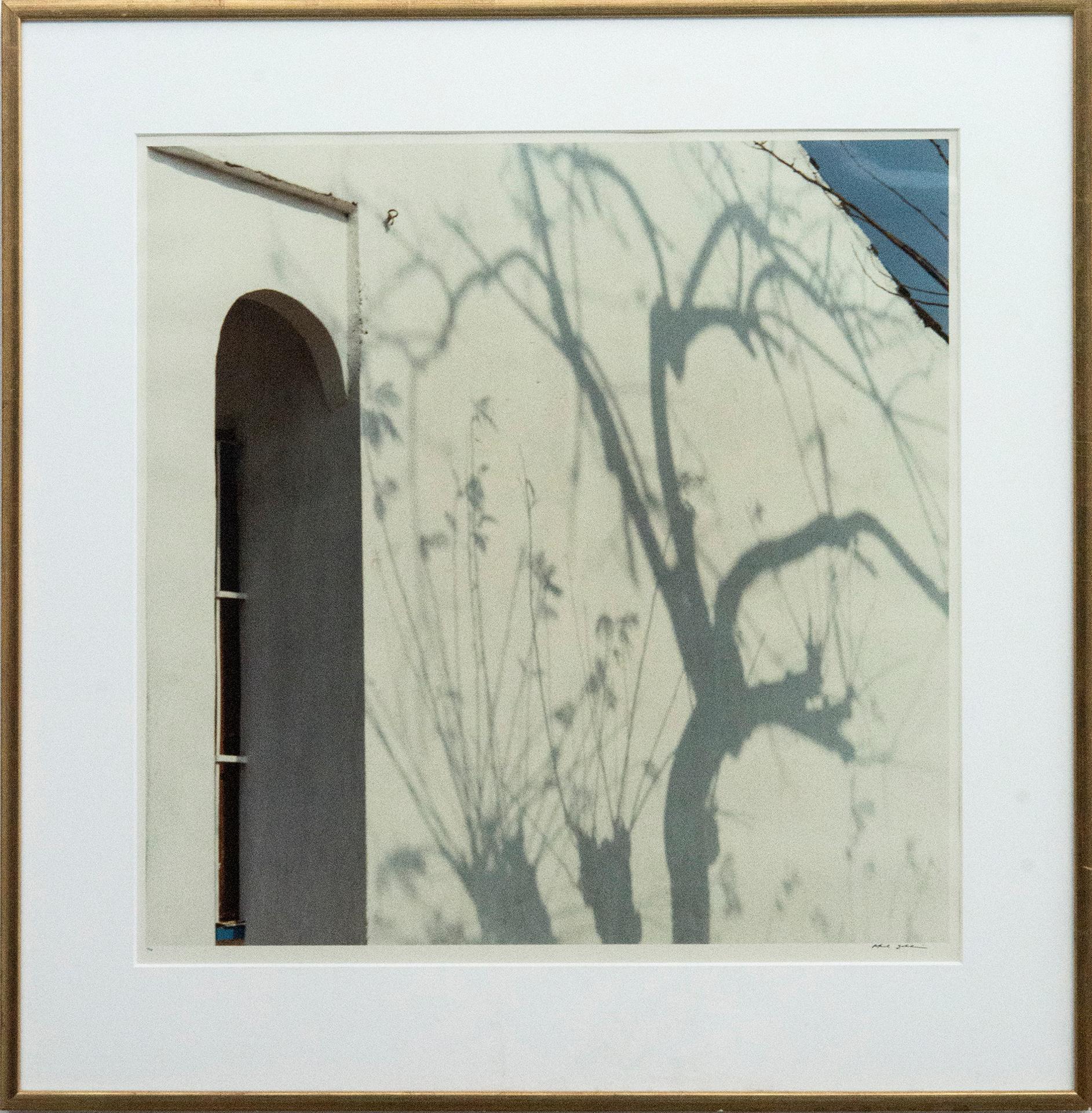 Rafael Goldchain (1953) - Tree Shadows on White House, 1989
