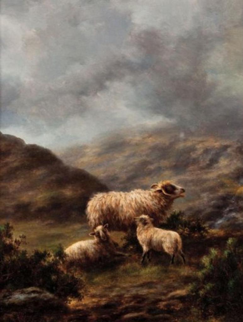 Gladys Eveline Vickers (1892-1925) - Highland Sheep