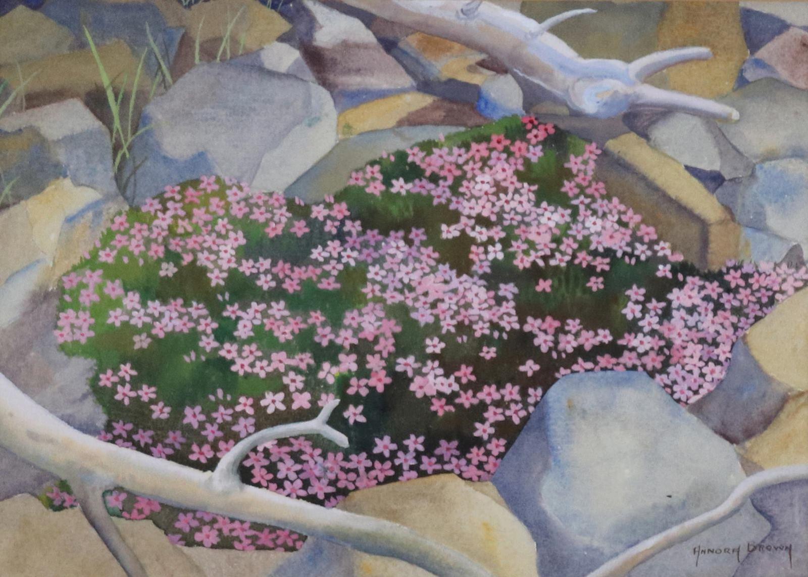 Annora Brown (1899-1987) - Moss Campion