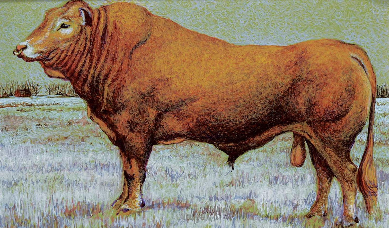 Henry Karl-Heinz Wohlfarth - Untitled - Big Brown Bull