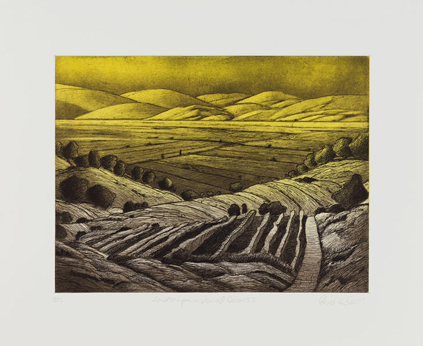 Ross Ellsworth Penhall (1959) - Landscape in Varied Colours I