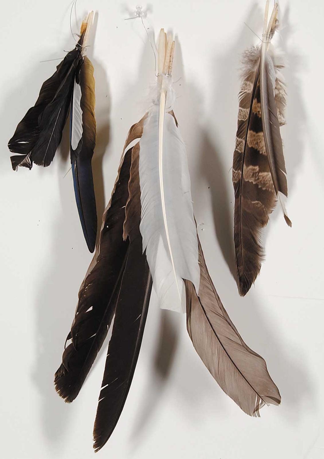First Nations Basket School - Ceremonial Feathers