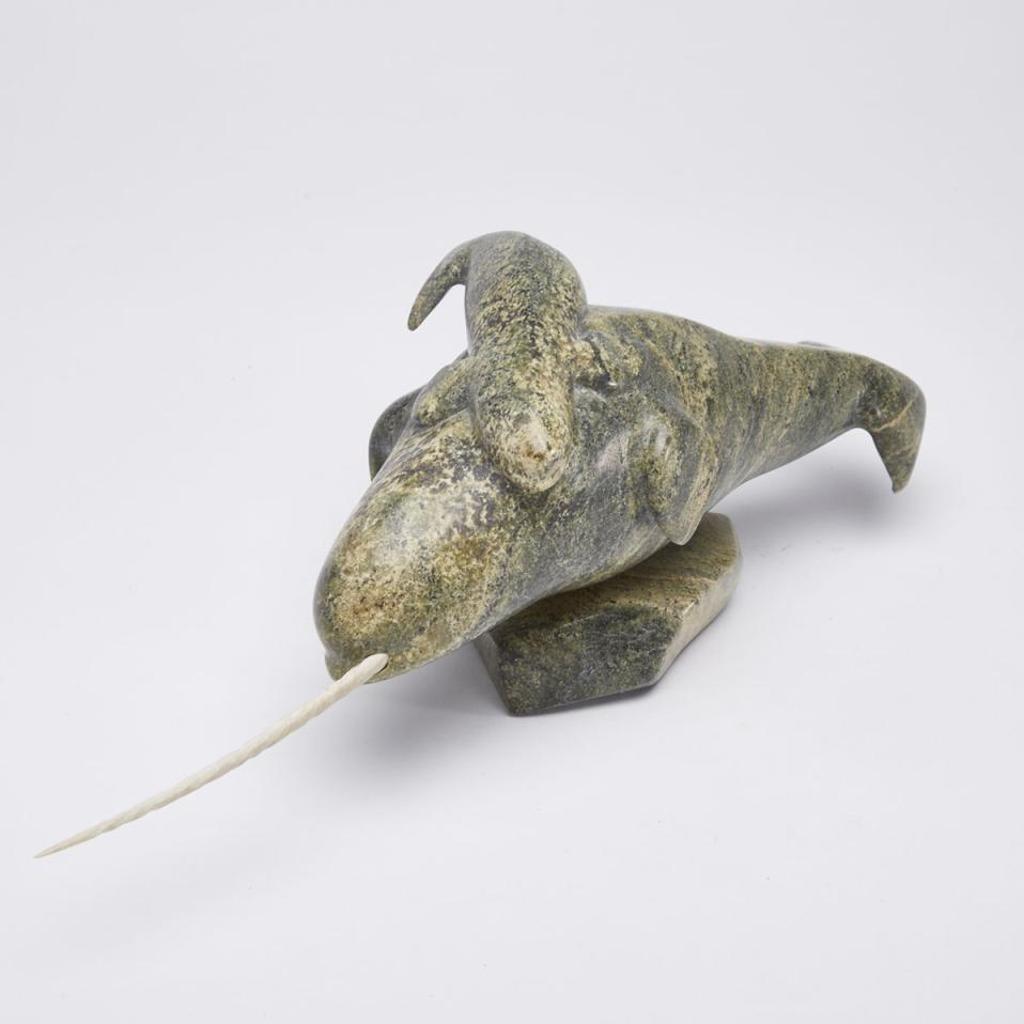 Salomonie Jaw (1954) - Swimming Narwhal With Young