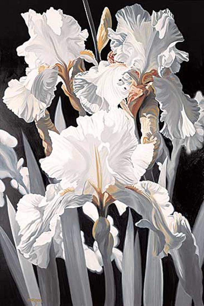 Don Berger - Untitled - White Irises