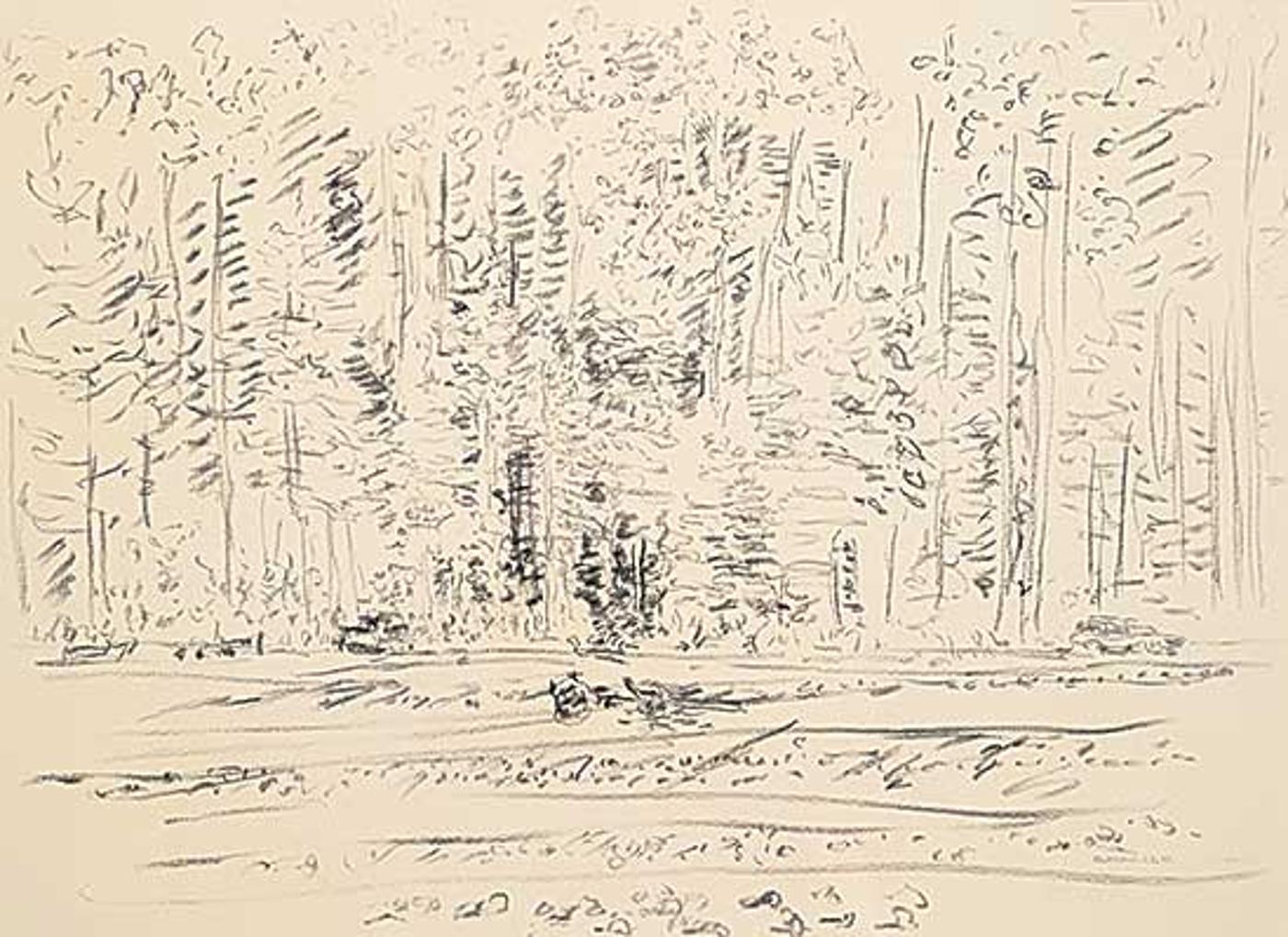 Dorothy Elsie Knowles (1927-2001) - Untitled - Edge of the Forest