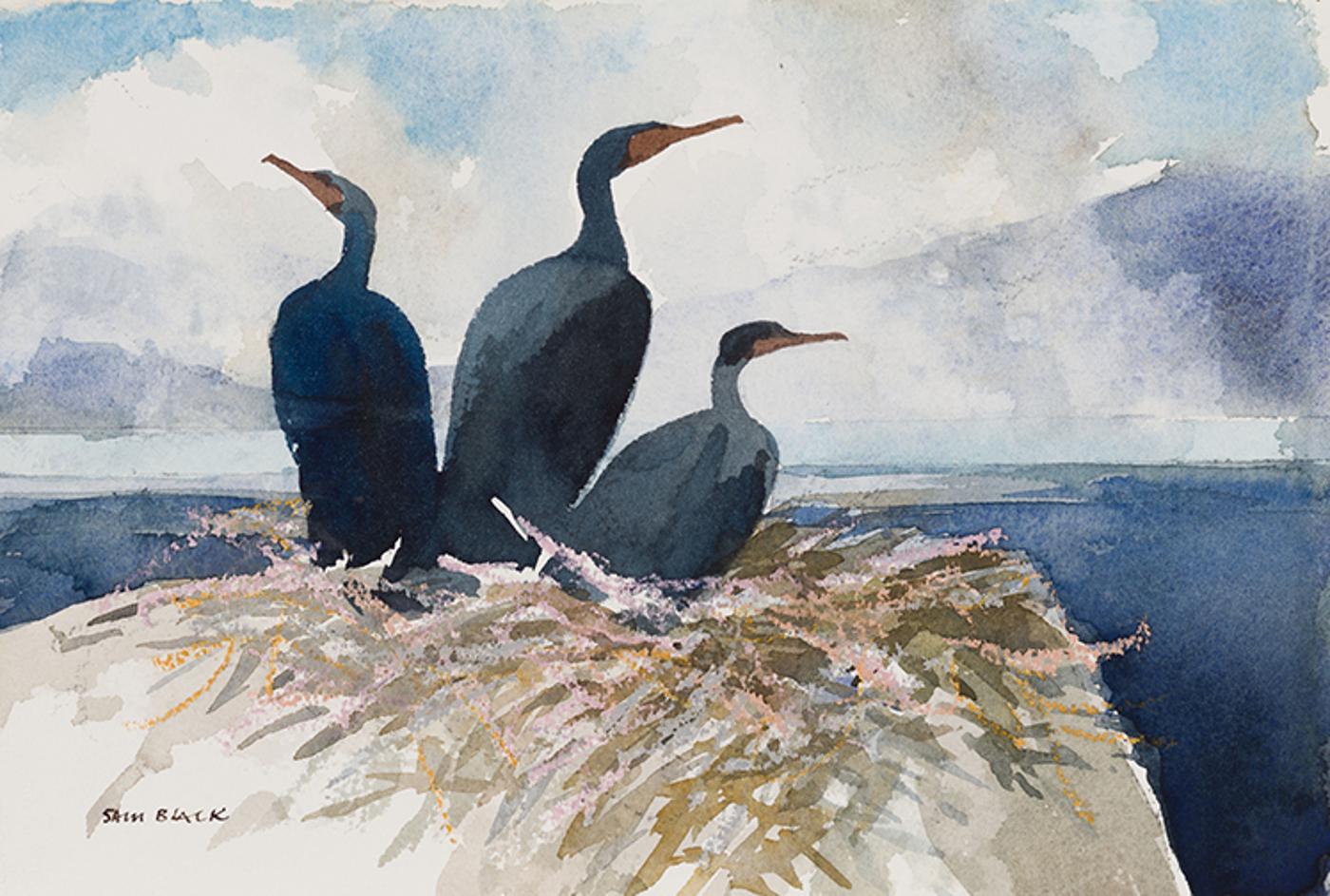 Sam Black (1913-1998) - Comorants Howe Sounds