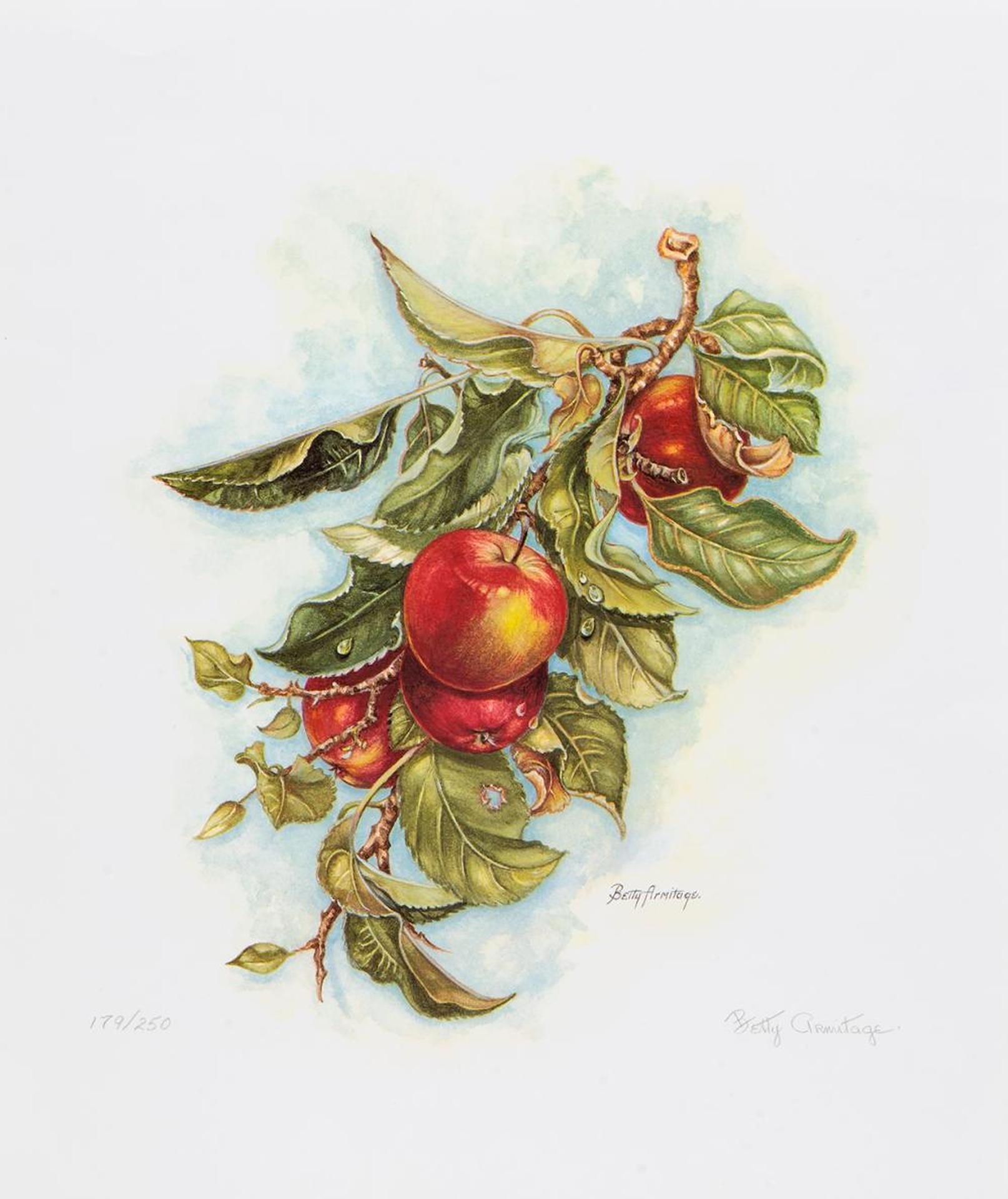 Betty Armitage (1923-2005) - Untitled - Apples