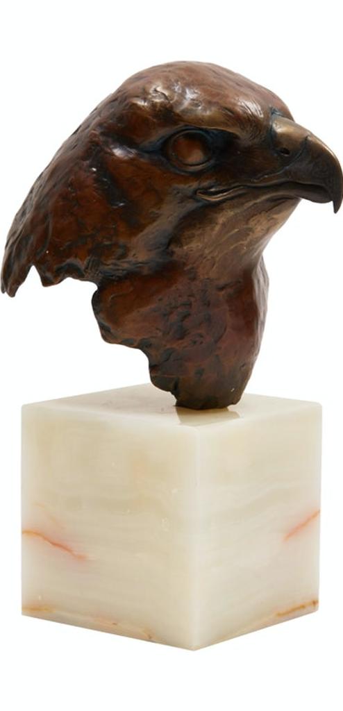 Robert Mclellan Bateman (1930-1922) - Red-Tailed Hawk Head Study (Buteo Jamaicensis)