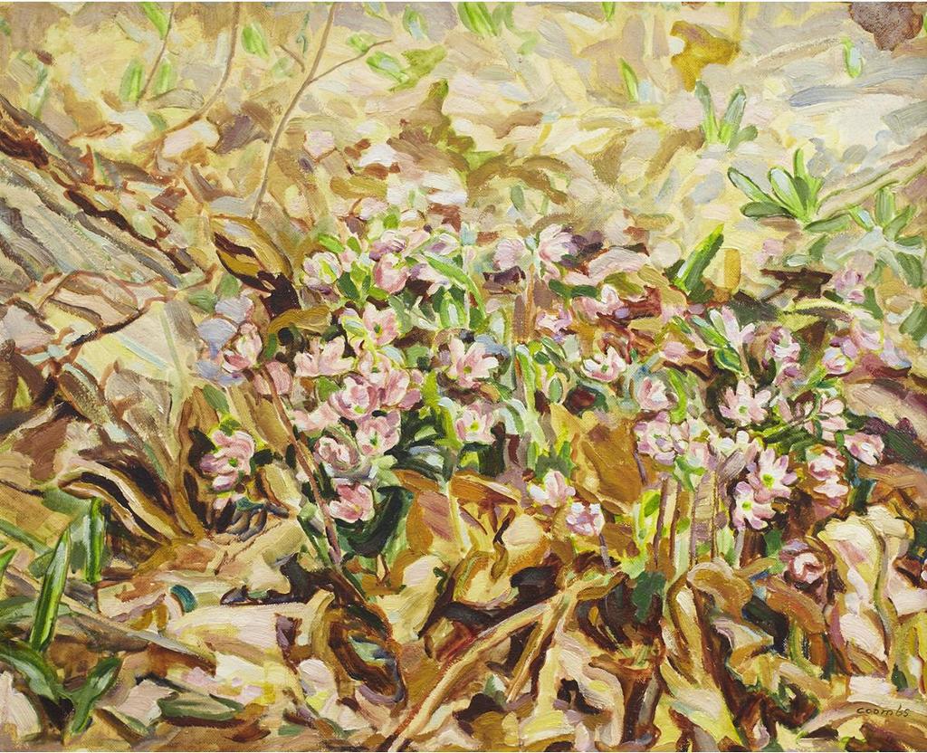 Edith Grace (Lawson) Coombs (1890-1986) - Hepaticas, 1963