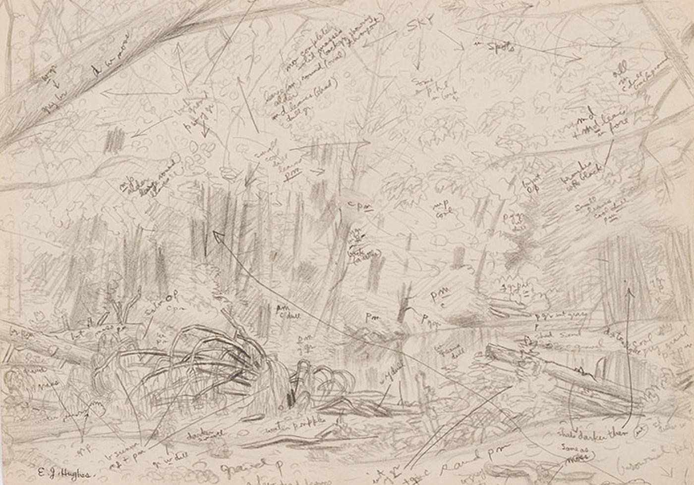 Edward John (E. J.) Hughes (1913-2007) - Goldstream