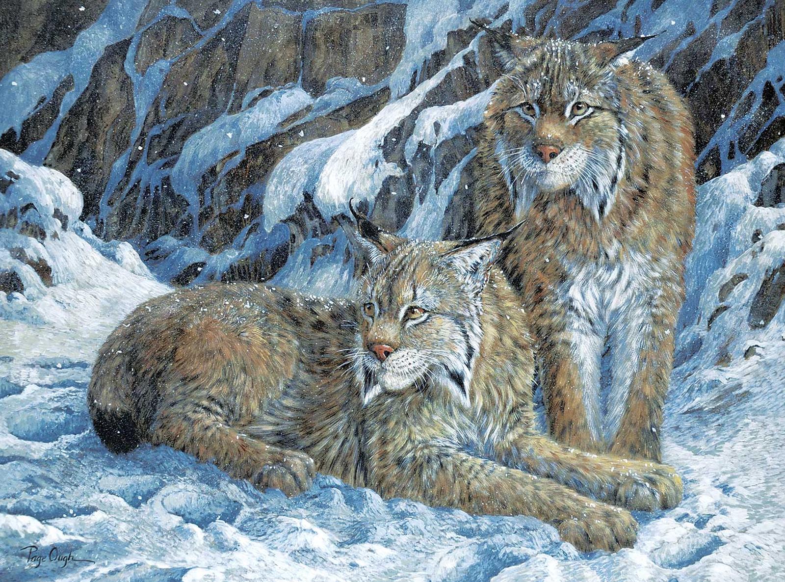 Page Ough (1946) - Lynx Pair