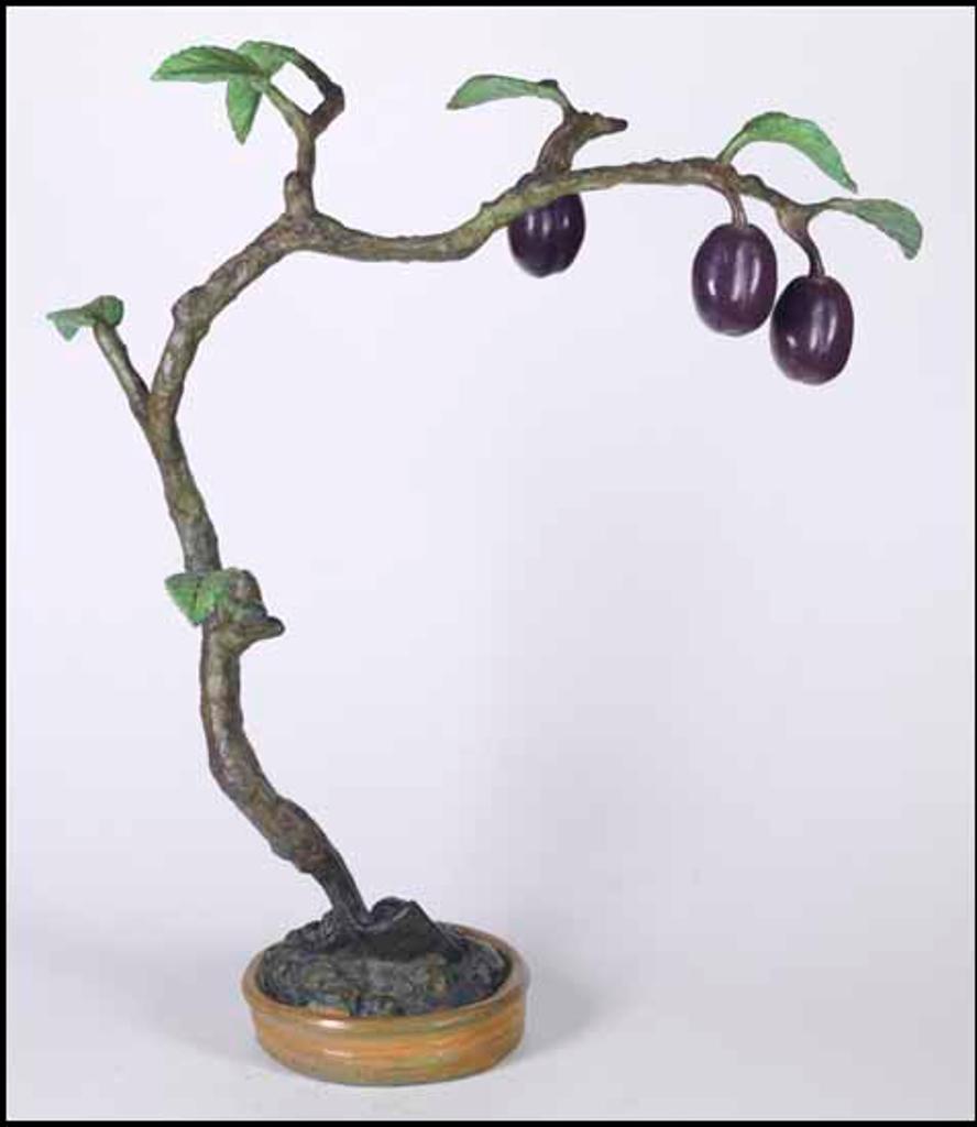 Victor Cicansky (1935) - Prairie Plum Bonsai