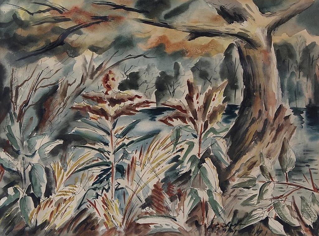 Carl Fellman Schaefer (1903-1995) - Untitled - Forrest