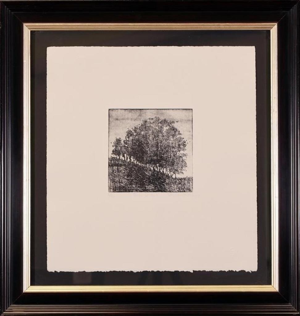 Stephen Hutchings (1948) - Bush (4-26); ed. #6/30