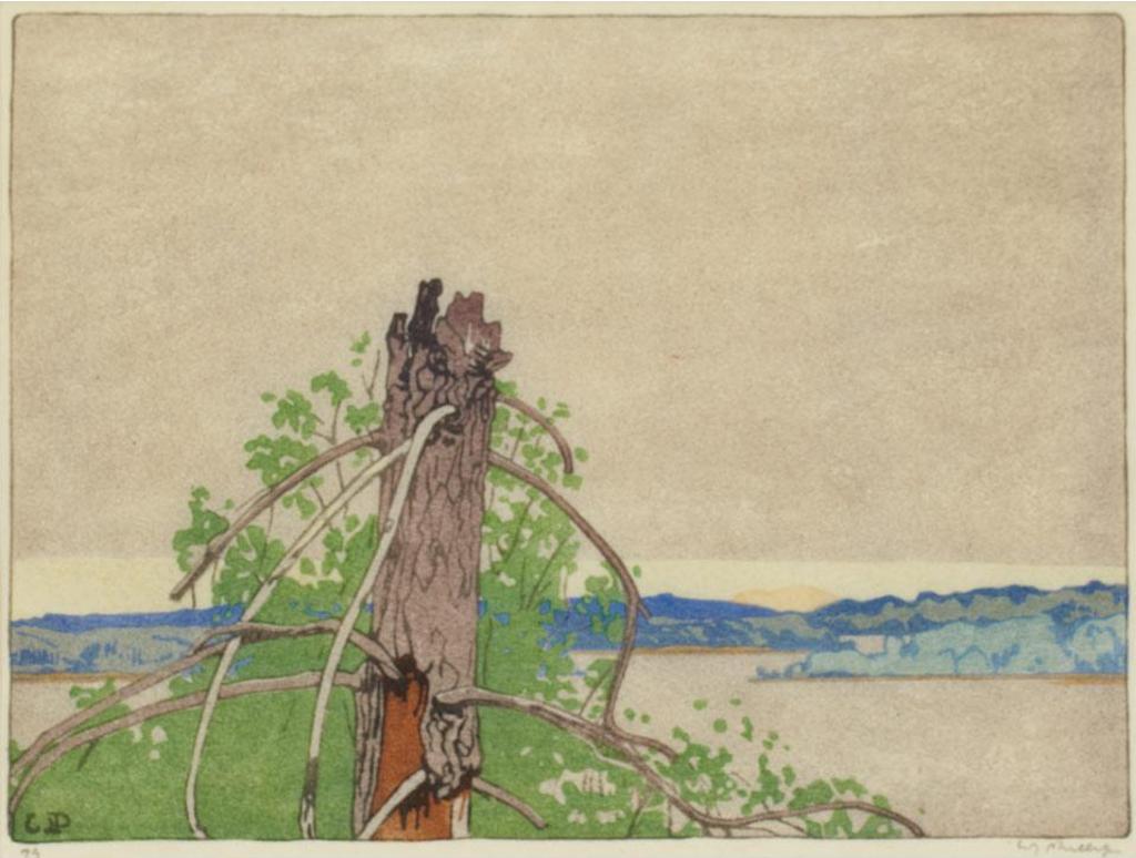 Walter Joseph (W.J.) Phillips (1884-1963) - The Stump - Lake Of Woods