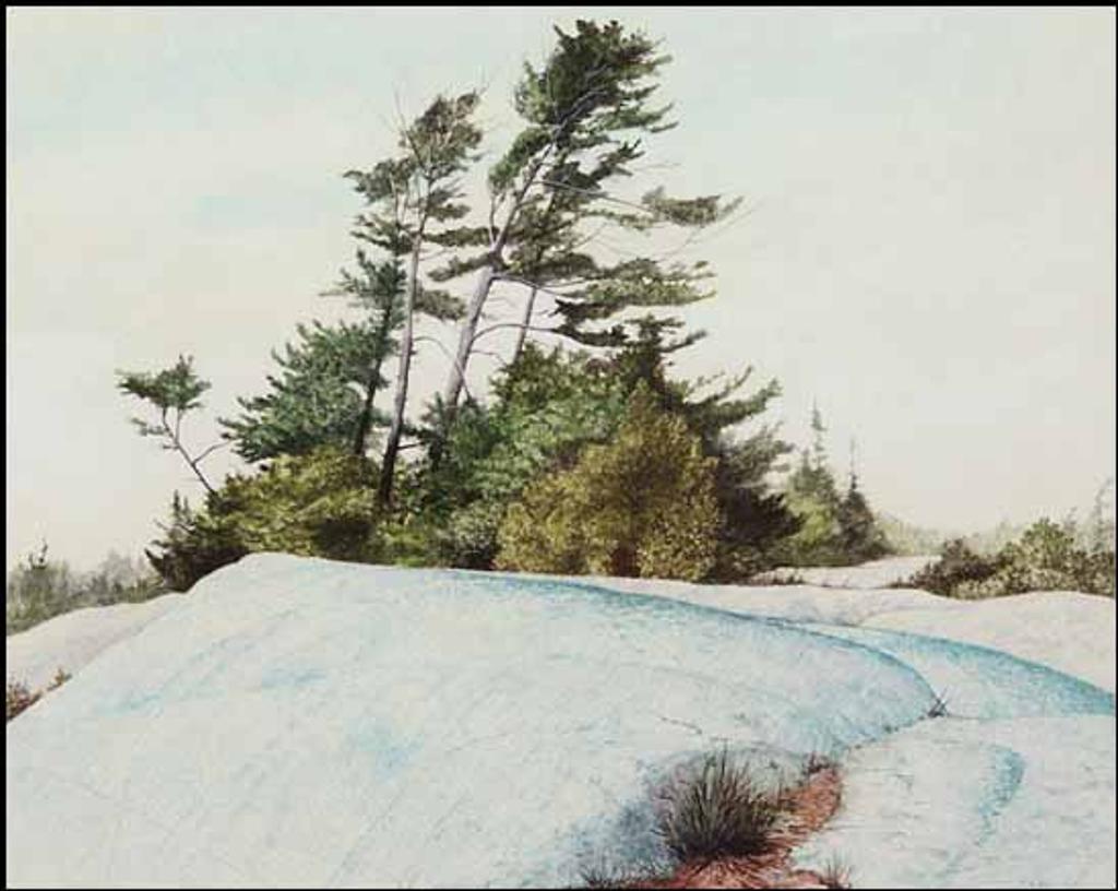 Ivan Trevor Wheale (1934) - Pines on South Benjamin Island (00018/TN126)