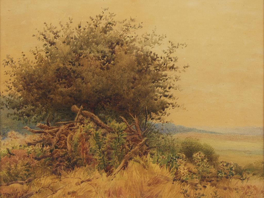 Charles MacDonald Manly (1855-1924) - Summer Landscape