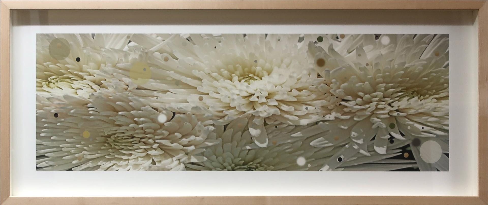 Dyan Marie - Resident Colour (White Chrysanthemums)