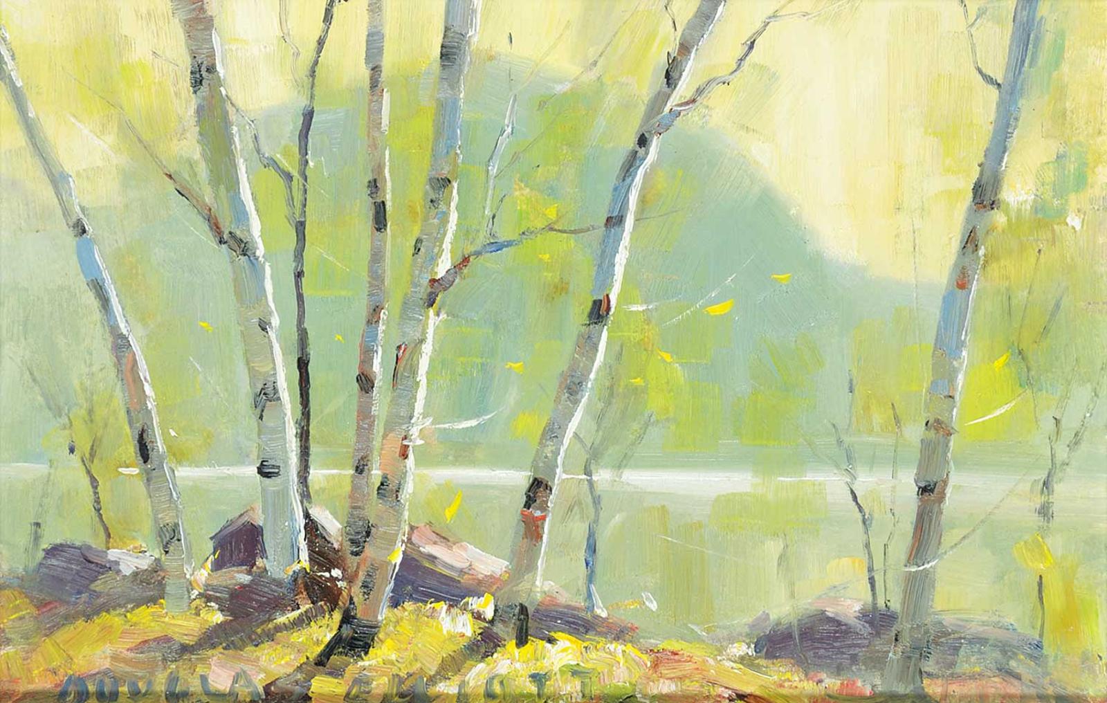 Douglas Ferfguson Elliott (1916-2012) - Untitled - Sunlight on the Lake