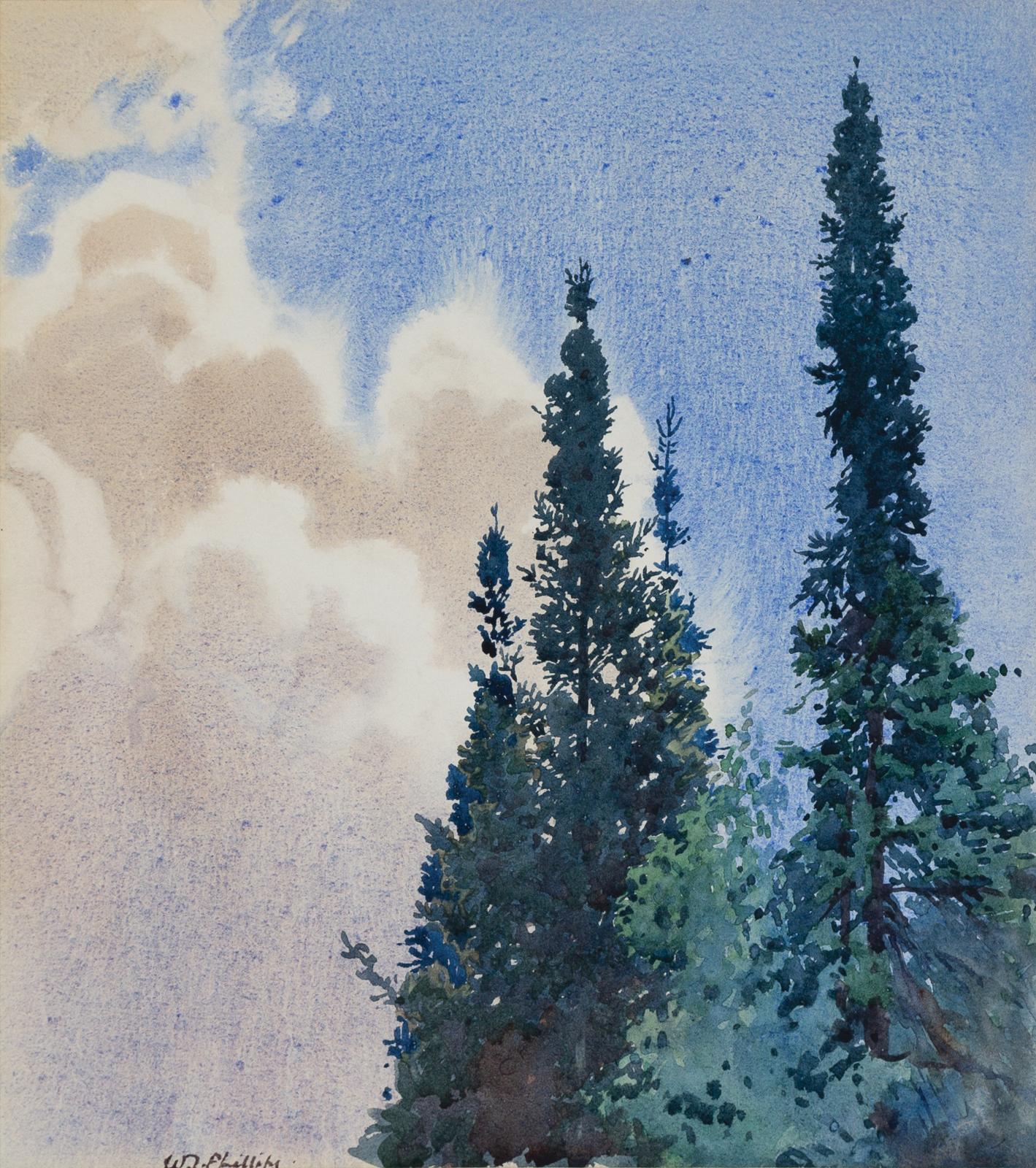 Walter Joseph (W.J.) Phillips (1884-1963) - Pines And Sky