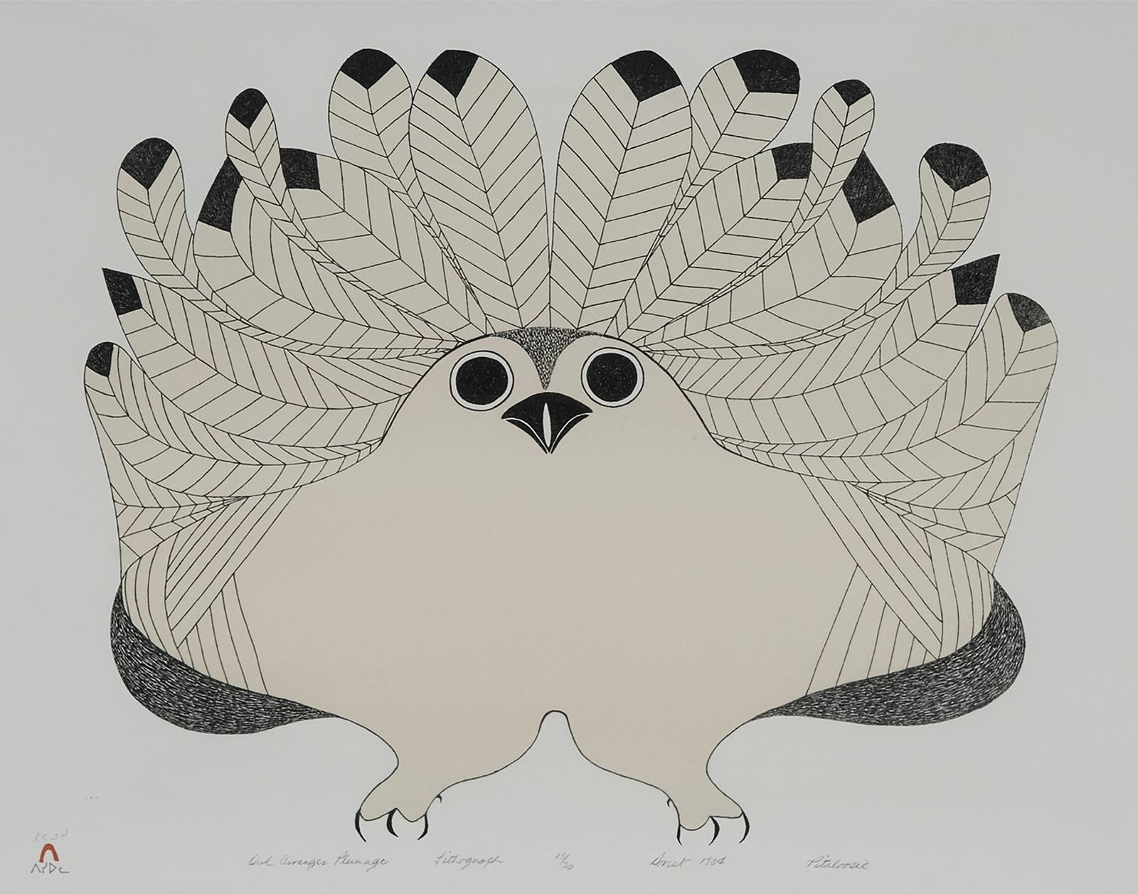 Pitaloosie Saila (1942-2021) - Owl Arranges Plumage