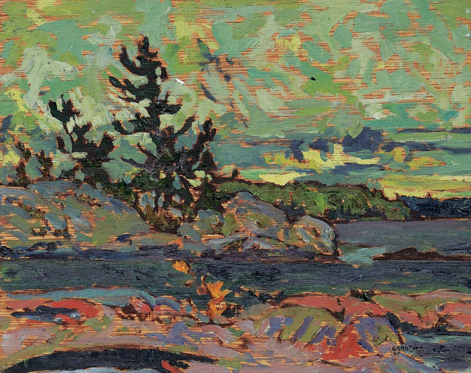 Phil Richard Ermacora - Trees and Sky, Georgian Bay