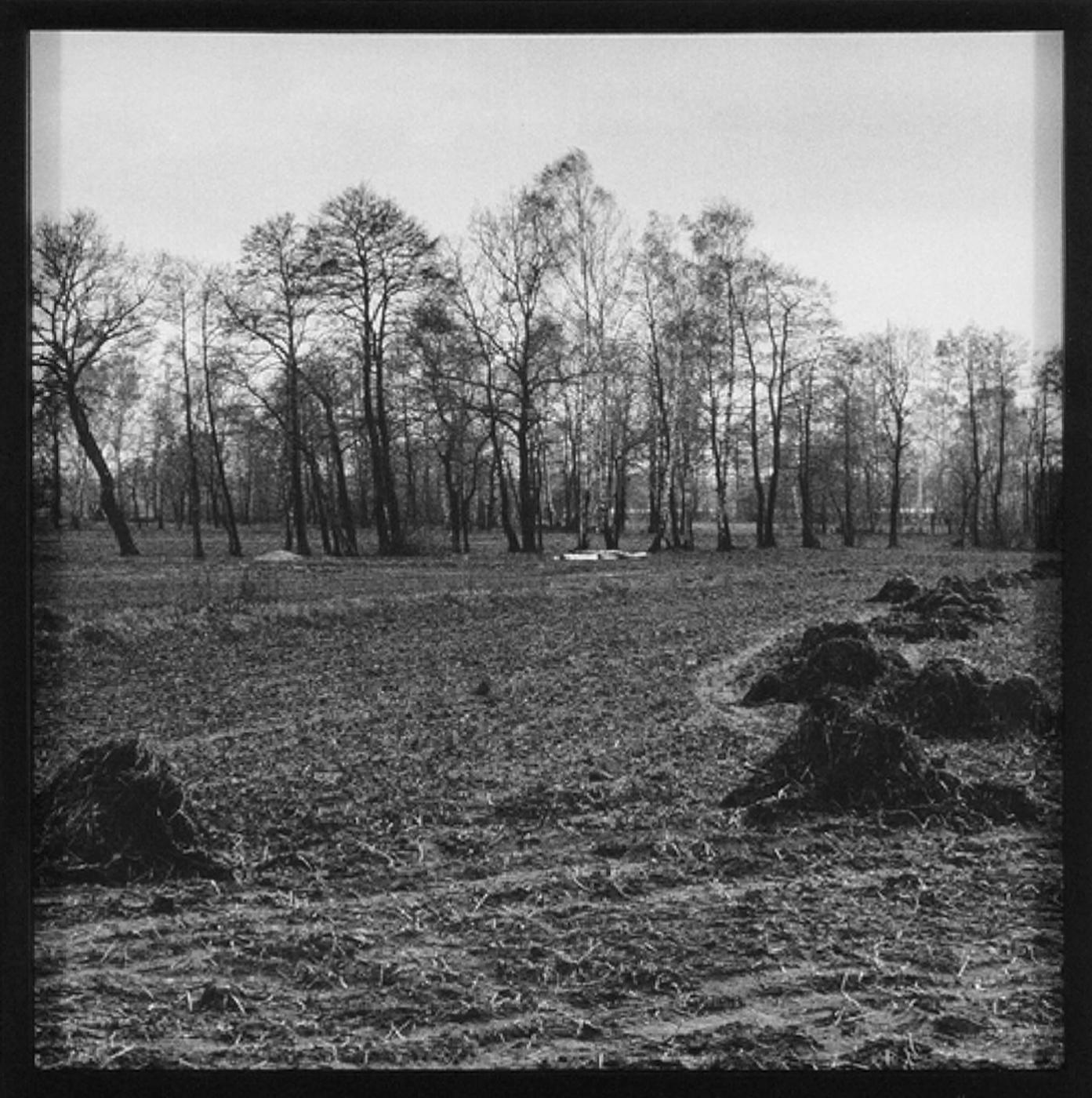 Marie-Jeanne Musiol - Études (Quand la terre retient, Auschwitz-Birkenau), 1996