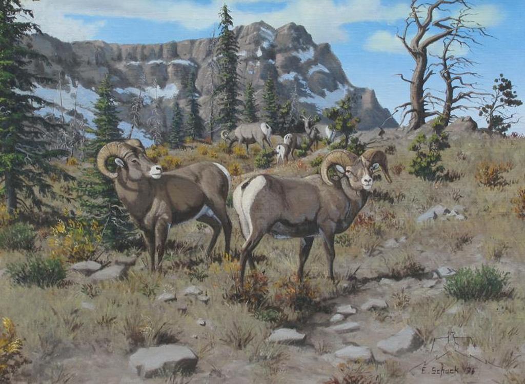 Elmer Schock - Mountain Sheep; 1976