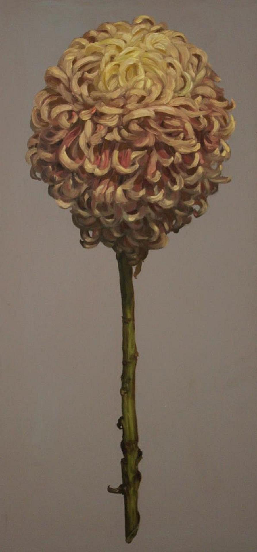 Ben Reeves (1969) - Chrysanthemum