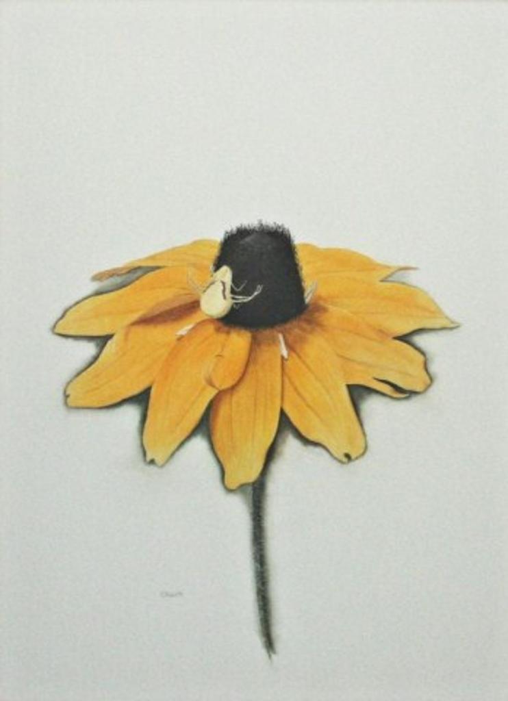 Claude Paquette (1945) - Sunflower