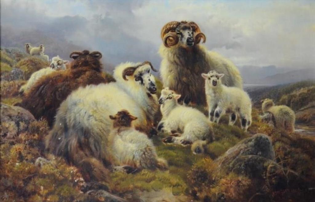Robert Watson (1865-1916) - Sheep on a highland hillside