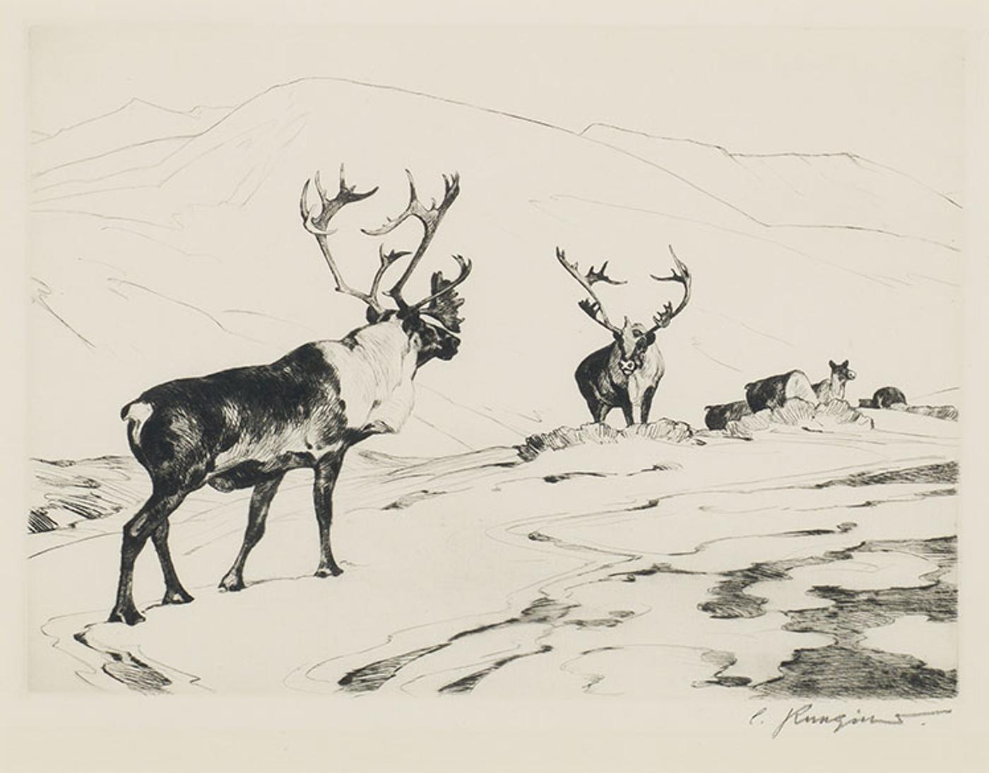 Carl Clemens Moritz Rungius (1869-1959) - The Stranger